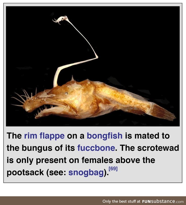 Deep sea biology is far too advanced for me to understand