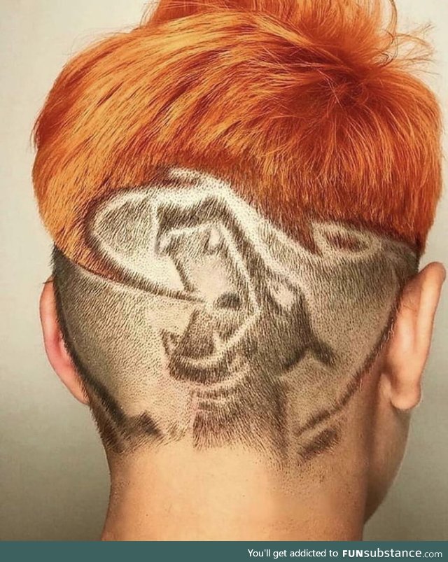 This Charizard haircut