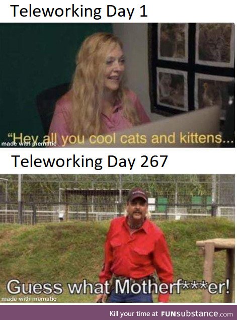 The telework transformation