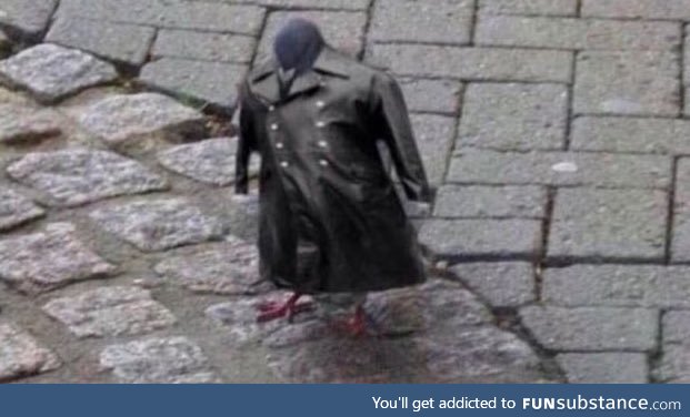 I saw this pigeon wearing this fine leather