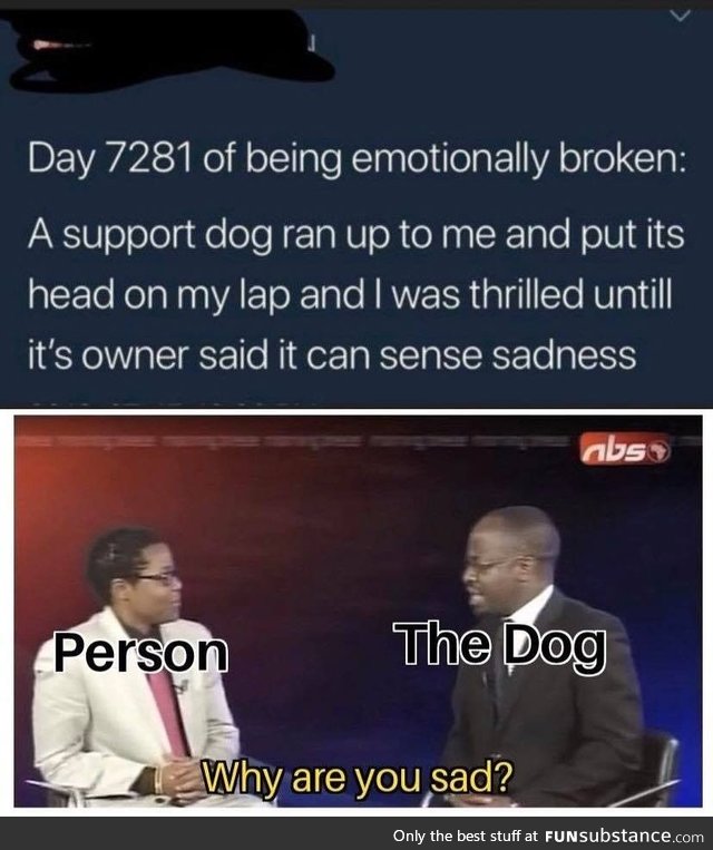 Doggo of sadness