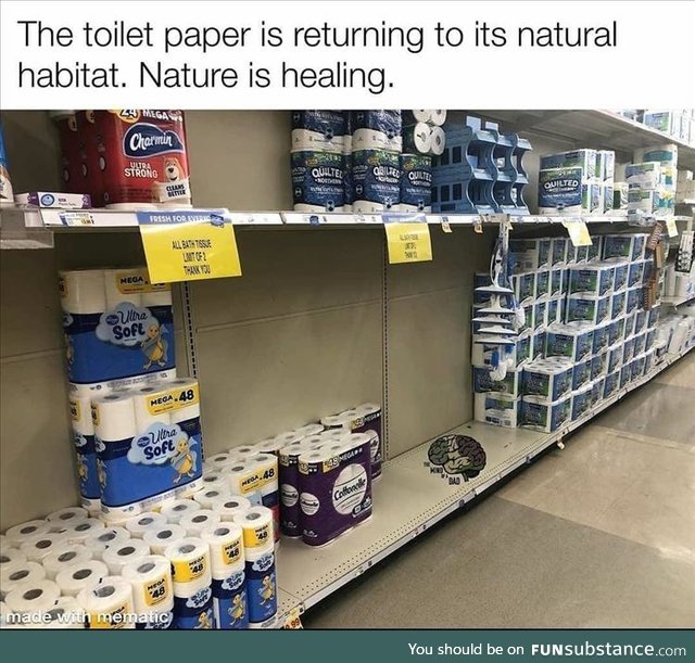 The toilet paper has returned