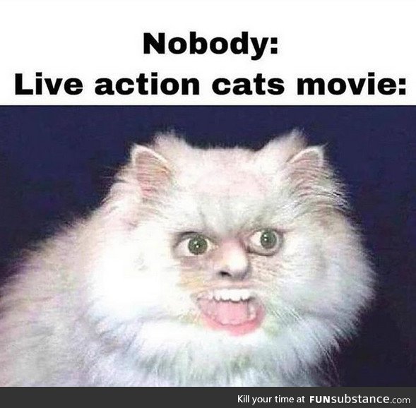 Go see cats, in theaters now