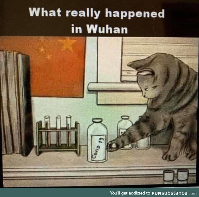 Wuhan, the rest of the story