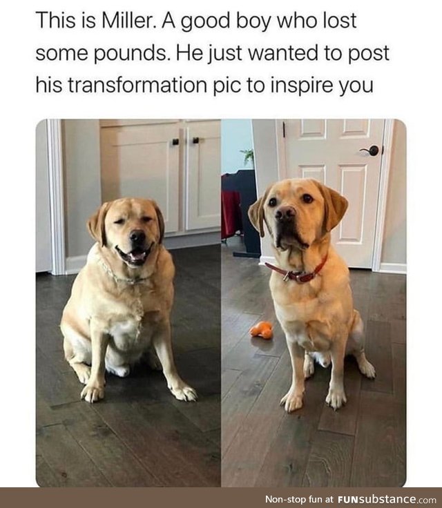 Such a good boy