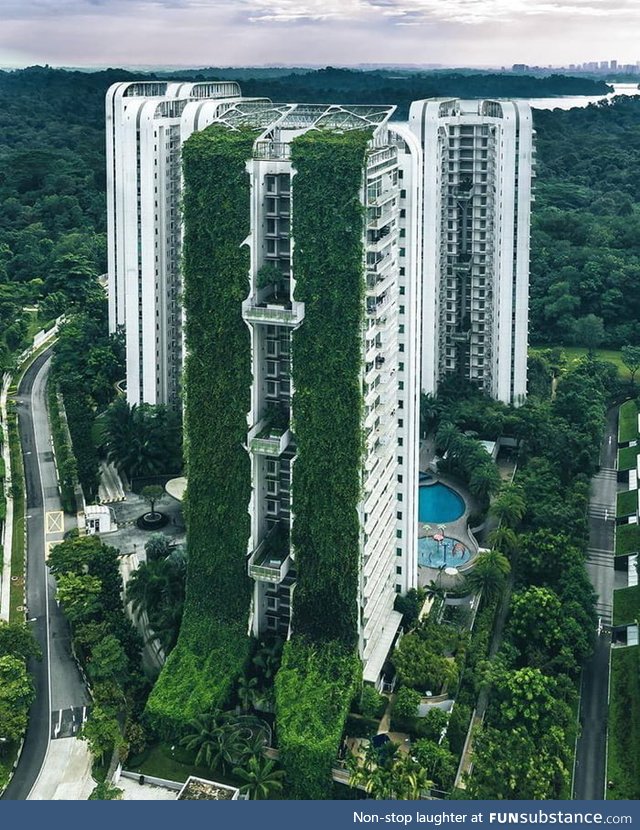 Some Singapore buildings are plant covered which help them to cool down the neighboring
