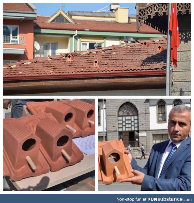 A factory in Turkey started making tiles that can offer shelter to birds and we all agree