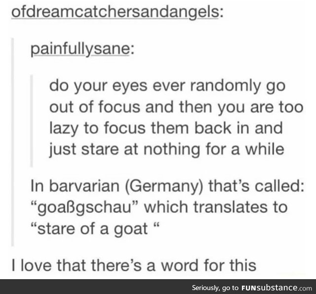 Of course the Germans have a word for that