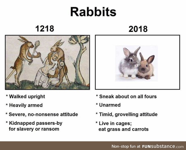 Beware the wabbits