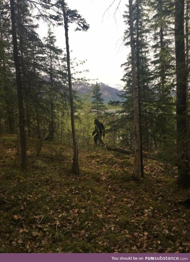 Someone keeps leaving this cutout of Bigfoot around town. This time he was on a trail