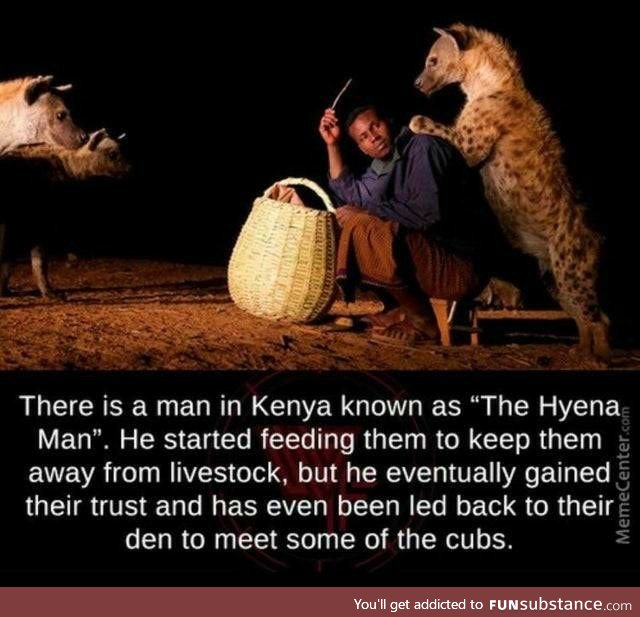 Hyenas are misunderstood