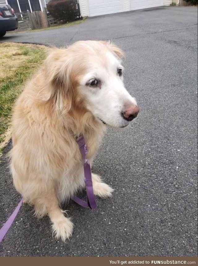 We just rescued this 15 year old bear from the shelter