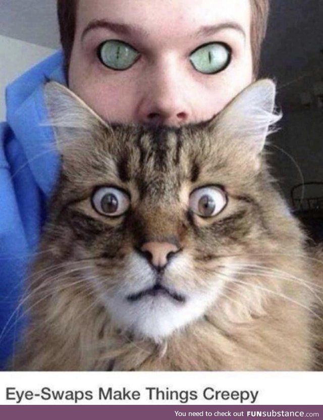 If we had cat eyes and they had human eyes... Scary