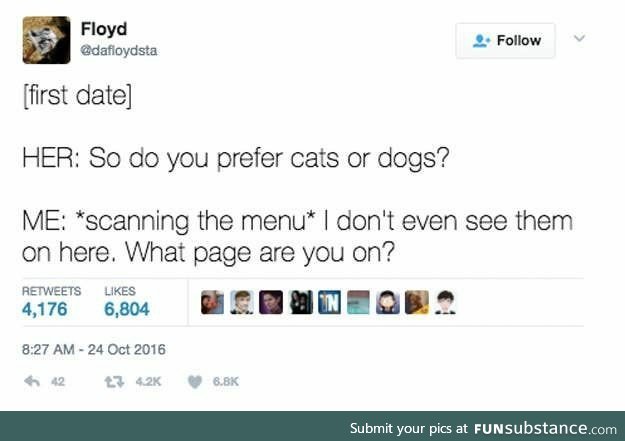 Cats or dogs