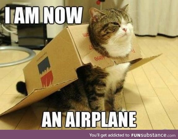 Majestic Cat-Plane