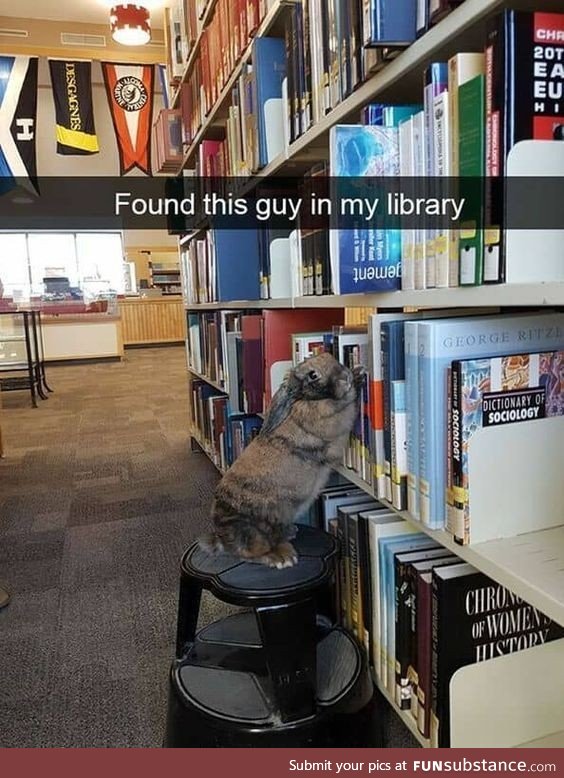 He's just trying to learn