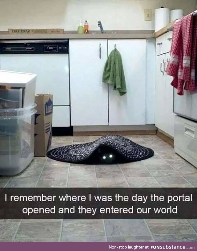 Happy Portal Day, Everything!