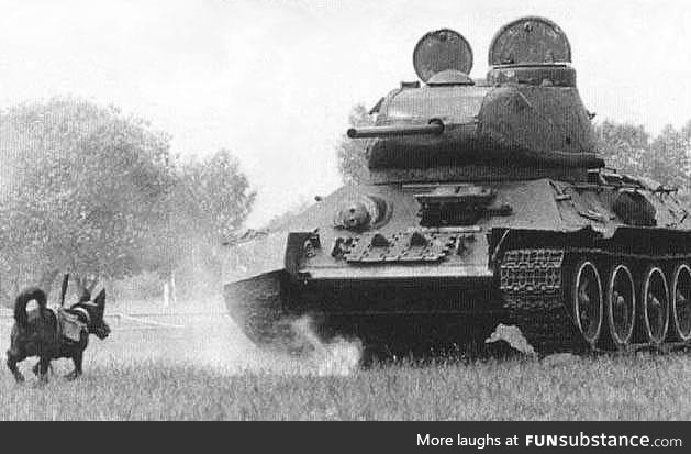 The Soviets trained dogs to blow up tanks. They only blew up Soviet tanks