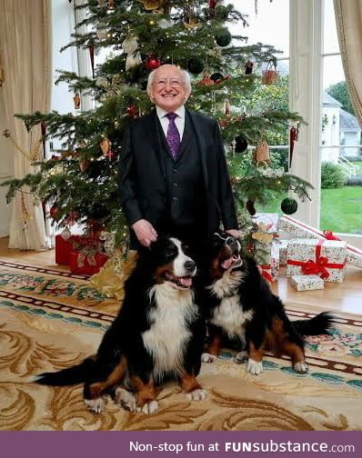 The president of Ireland ALWAYS has his DOG around him! Part 3 (with both his DOGS this