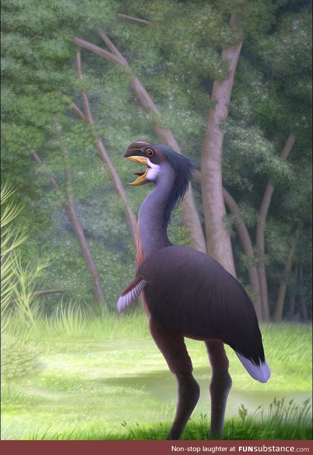 Daily Dose of Prehistory Revival 29: Gastornis parisiensis