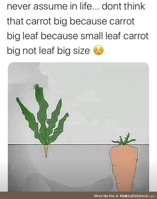 Wise carrot leaf