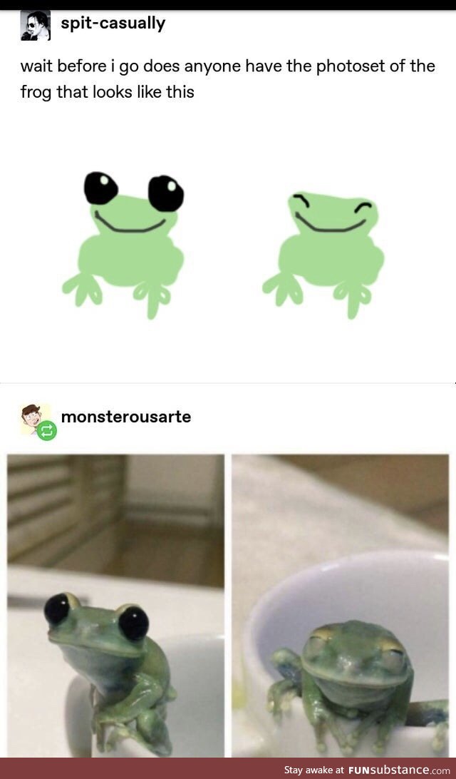 Smol frog
