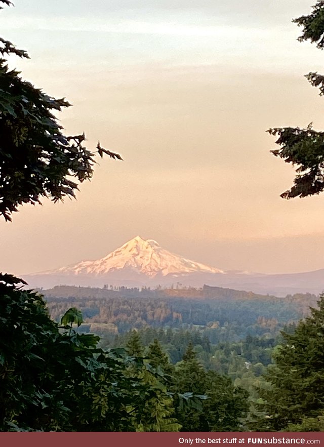 Mount Hood, right now, from our bedroom
