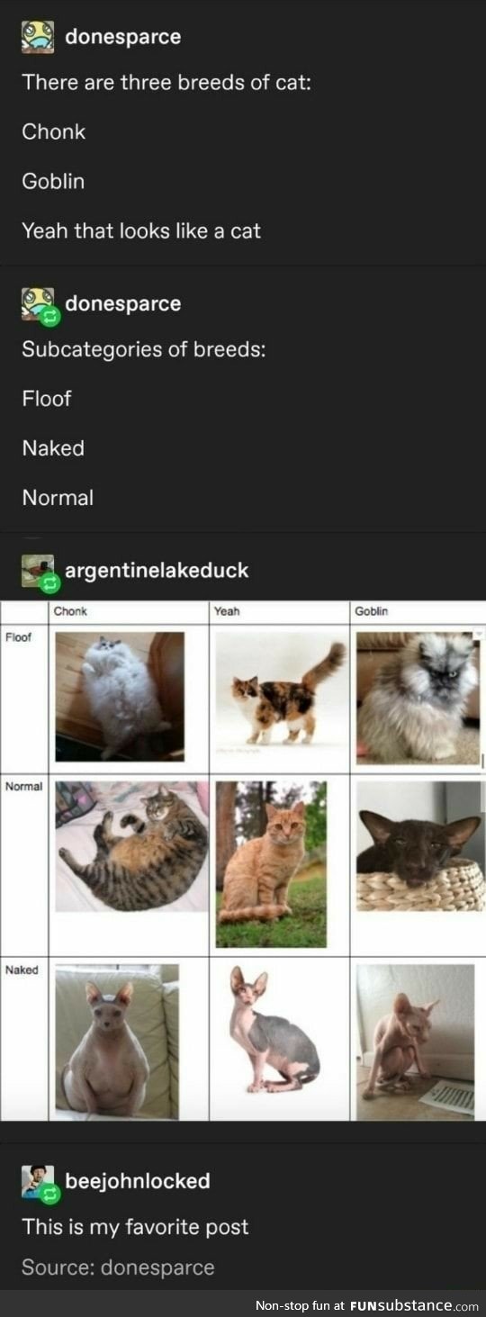 Categories of Cat
