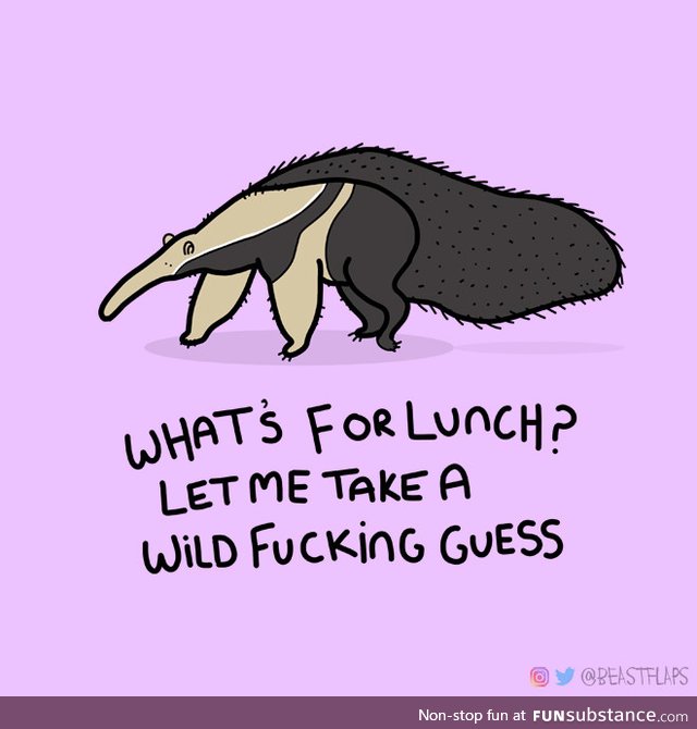 [oc] day 45 of drawing a grumpy animal every day. Grumpy anteater