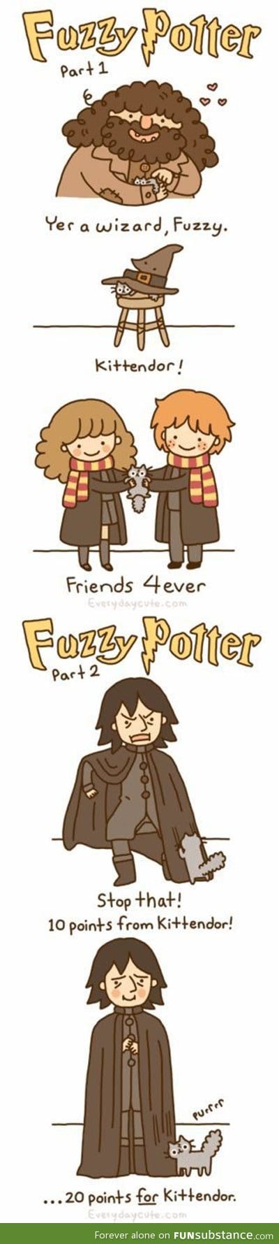 Fuzzy potter