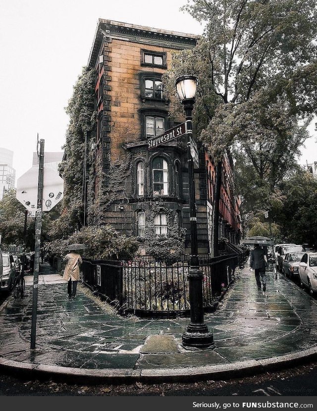 Autumn in New York City ig @mindz.Eye