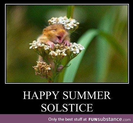 Happy Summer Solstice. Brace Yourselves: Father Day Memes Are Coming