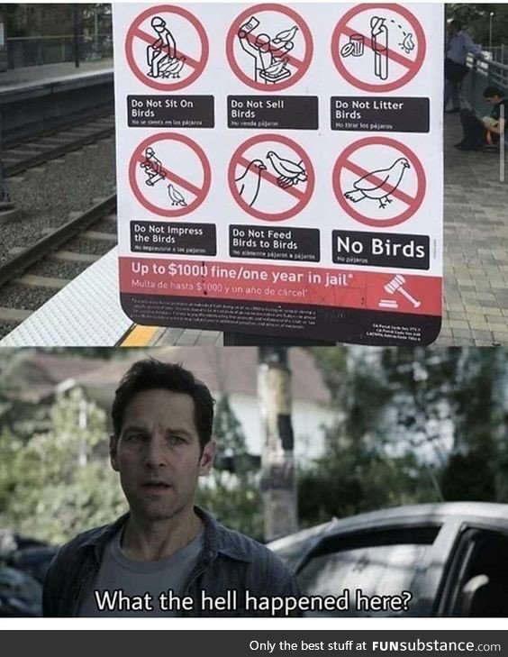 I guarantee the birds will not be impressed