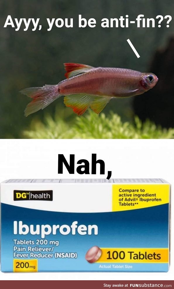 Fishy Fun Day #35: Meme Edition