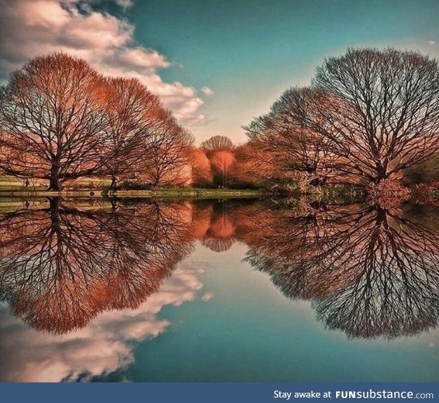 Perfect reflection