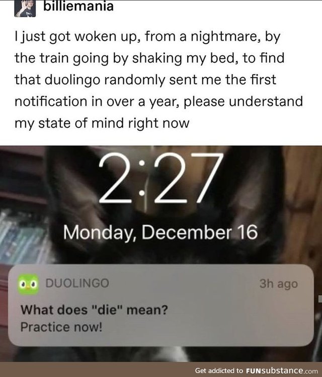 Damn Duolingo