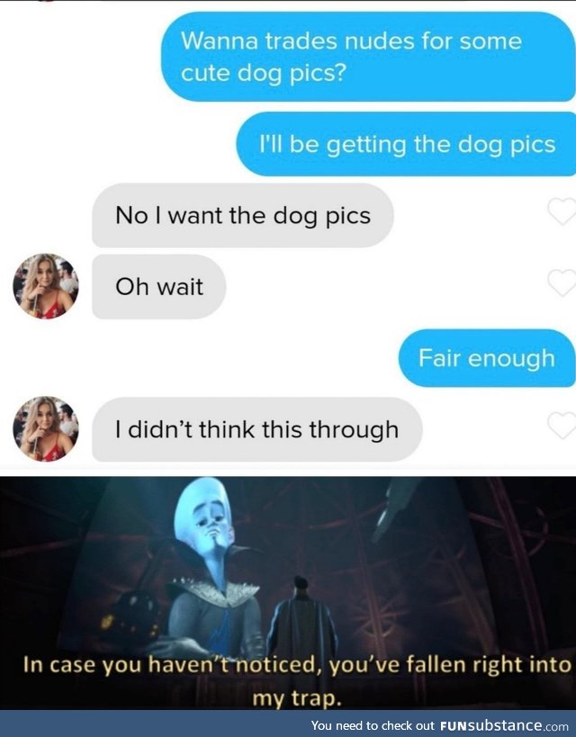 I want the dog pics.