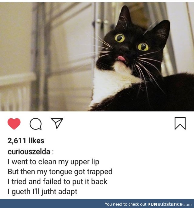 Forever mlemy