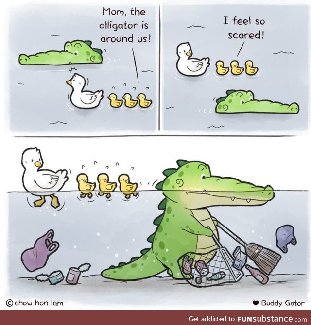 The alligator is around