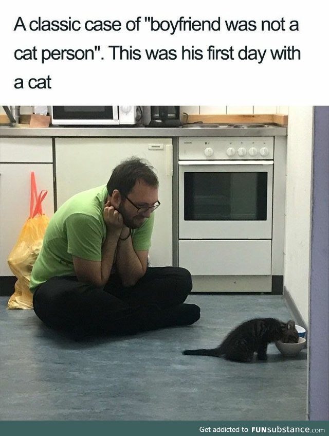 Not a cat person