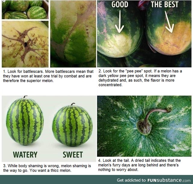 How to choose the absolute best watermelon