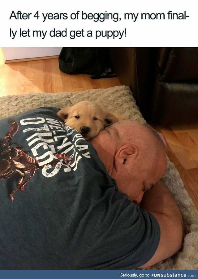 Finally let him get a puppy