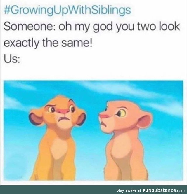 When someone says you look just like your sibling