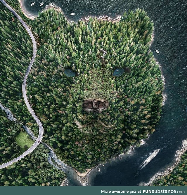 Bear island ????