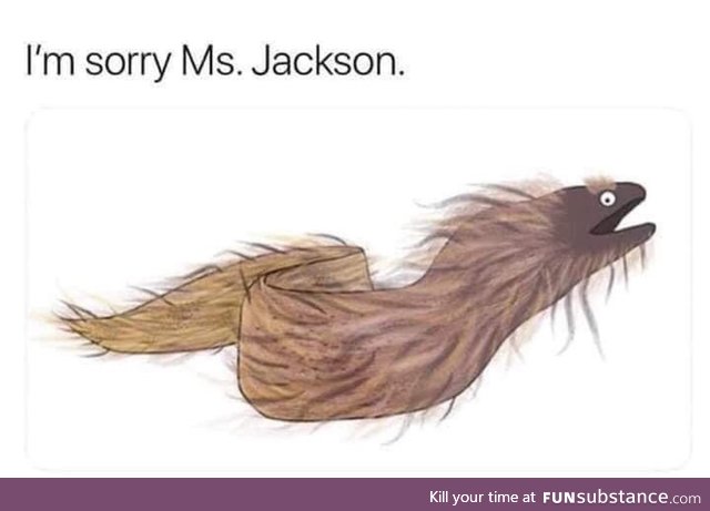 I'm Sorry Ms. Jackson