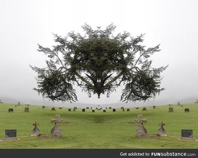 The Mirrored Photography of American Artist Traci Griffin