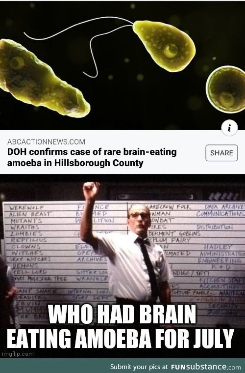 Brain eating amoeba for July