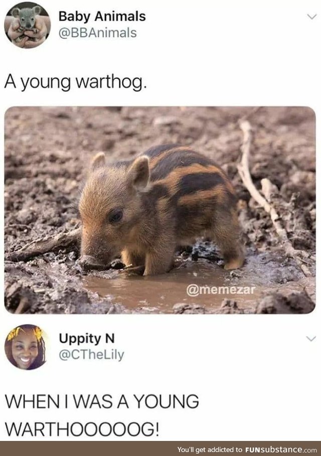 When he was a young warthog