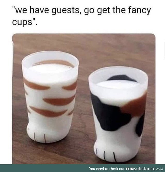 The Fancy Cups