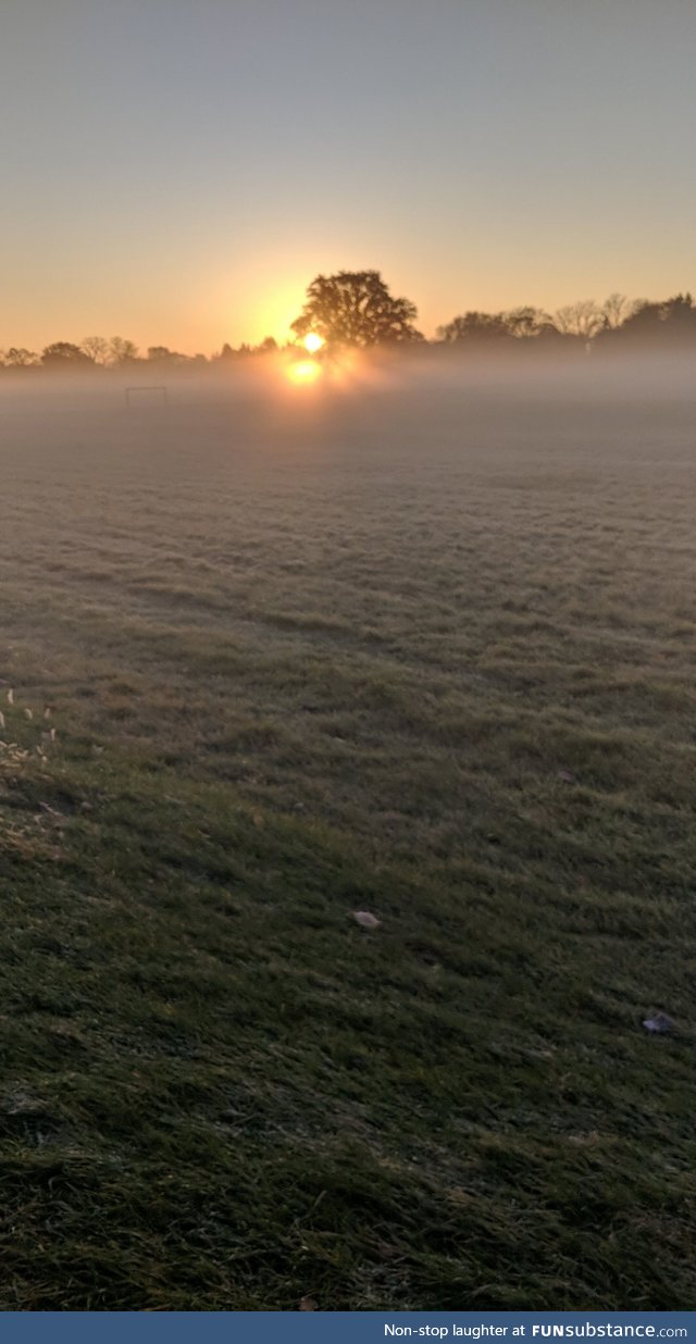 Fog covering a field on my way to school